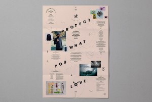 2poster-800x540-800x540